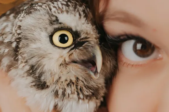 Lottomart Kasino Sokongan